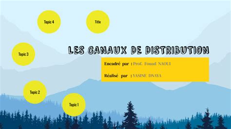 LES CANAUX DE DISTRIBUTION by Dnaya Yasine .